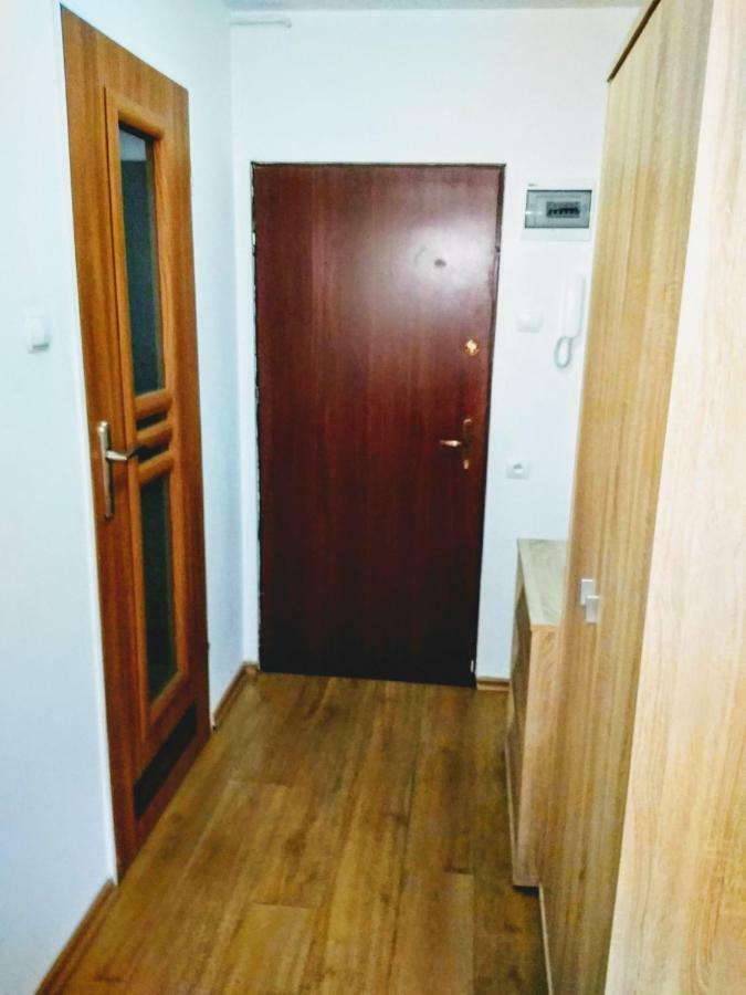Апартаменты Apartament Studio - Mehoffera 1 Забже Экстерьер фото